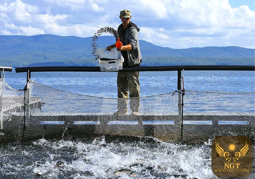 NGT Application of White Vietnam Limestone Grains in Animal Feed - Fish