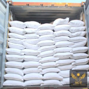 NGT Loading Dolomite Powder for Agriculture in 25:50 Kg PP Bag for Container Shipment
