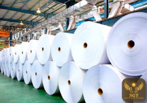 NGT Vietnam Calcium Carbonate Powder for Paper Industry