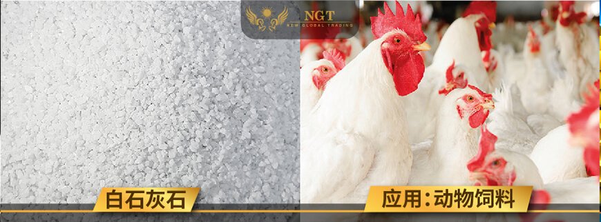 NGT Vietnam White Limestone Grains for Animal Feed